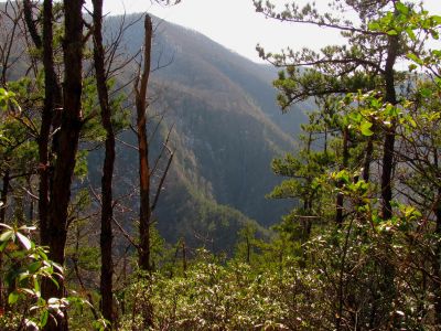 Buckeye Falls as seen from Chigger Ridge - Taken 3-12-2011
