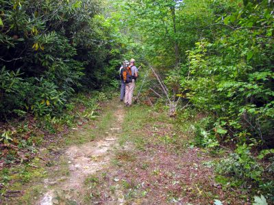 Bob`s crew raking cut growth out of the trail
