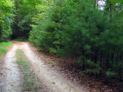 old road just before reaching Roseboro Road
