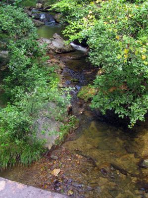 Webb Creek 
