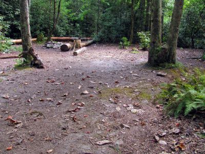 Campsite along Harper Creek 
