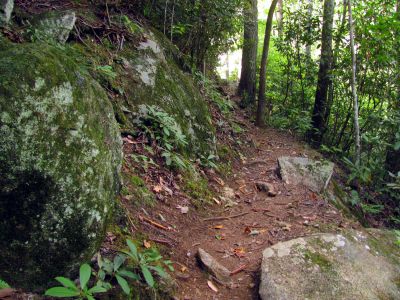 Trail leading up to top of Harper Falls
