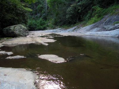Harper Creek  just behind our campsite
