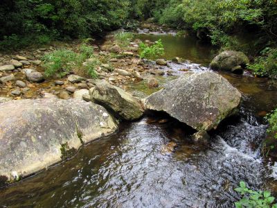 Upper Creek 
