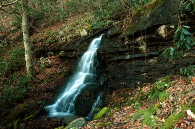 Taken 12-5 2015 

