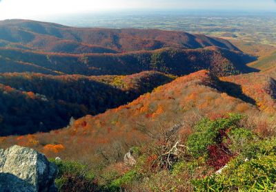 Taken 10-21-2012
