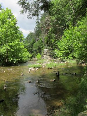Taken 6-14-2018   Paint Creek near Paint Rock 
