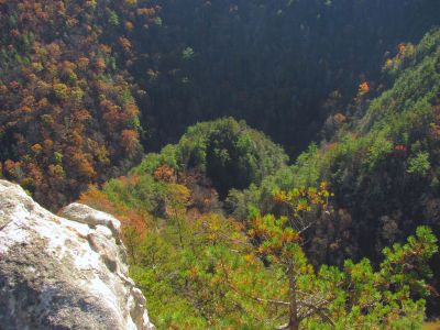 View from Rhino Cliffs. In this image you are looking down upon where the top of Laurel Falls are located in the gorge below. This is behind the falls as they are on the right side of that green knob in the center as they are falling away from us  in this angle
