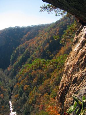View of the gorge from cliff side 
