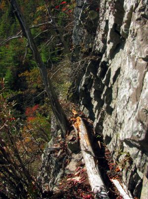 Going farther along the ledge I found an undercut edge where I am certain many snakes reside 
