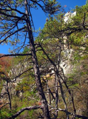 if you look closely you can see Larry Jarret on the tip top of the cliffs as I look back to try and get some scale to the actual height of these amazing cliffs  (zoomed) 
