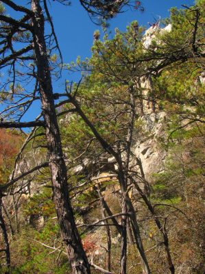 if you look closely you can see Larry Jarret on the tip top of the cliffs as I look back to try and get some scale to the actual height of these amazing cliffs 
