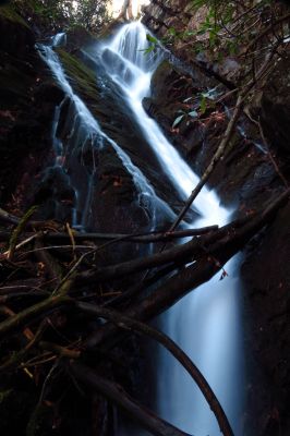 Taken 11-14-2015
