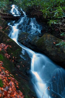 Taken 11-14-2015
