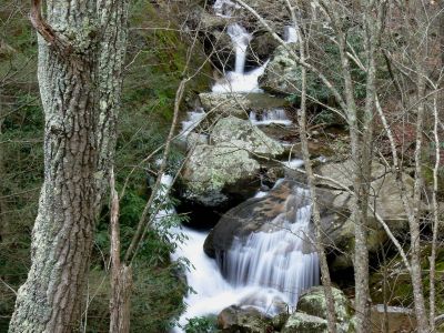 Cascades on Devils Creek
Photo by Dave Aldridge 12-10-2011
