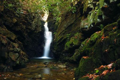 Lower Bailey Falls (taken 10-27-2017) 
