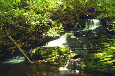 Taken 4-28-2017 falls just downstream from the main falls 
