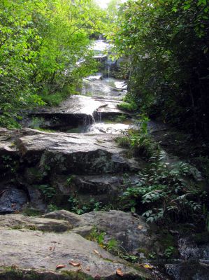 Feeder Falls Taken September 2012
