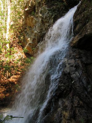 Lilybeth Falls
Taken 4-3-2011
