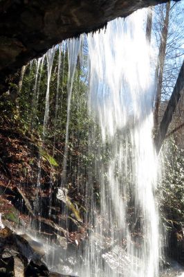 First falls found on Star Branch  (enters into Little Stony Creek)  Taken 12-11-2014
