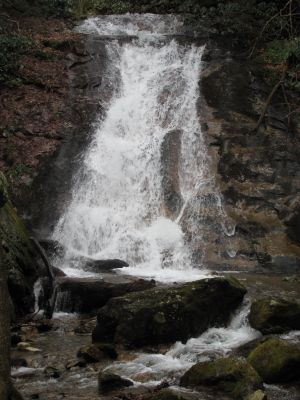 Rock Creek Falls (middle)
Taken 1-23-2010

