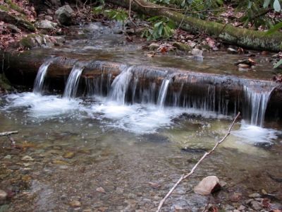 Small log falls along Rock Creek
Taken 1-23-2010
