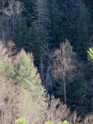 Sill Branch Falls (lower)
As seen from the Monkeyhead Rocks aka Sill Branch Overlook taken 3-19-2010
