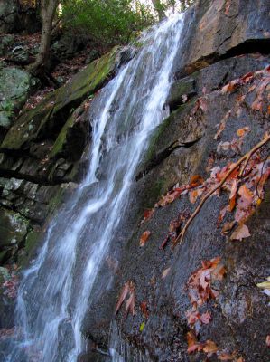 Sulphur Spring Branch Falls
Upper falls taken from right side.

