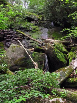 Whetstone Branch Falls (Upper)
Taken 6-25-2011
