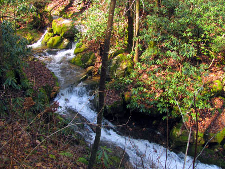 Cascades along Longarm Branch