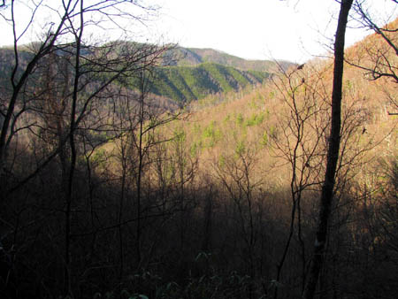 View of Longarm Ridge and Sampson Mountain