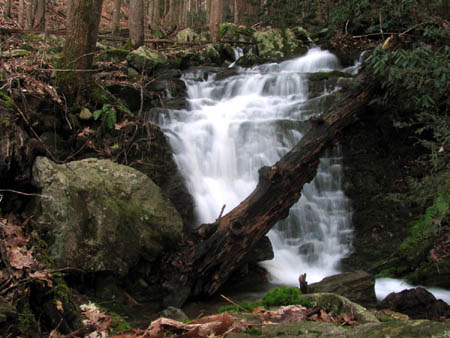Lower Wilderness Falls