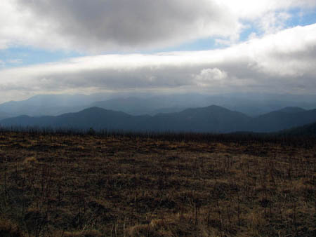 Looking towards Mt. Mitchell 