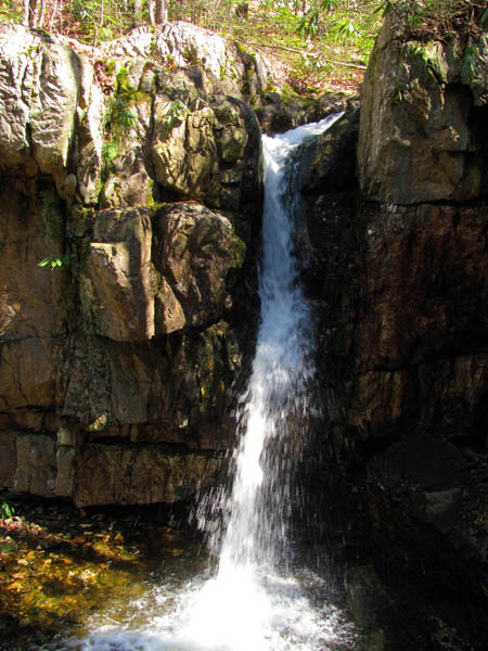 Upper Dick Creek Falls