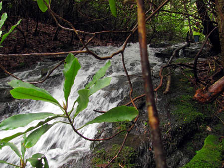 Upper Longarm Branch Falls