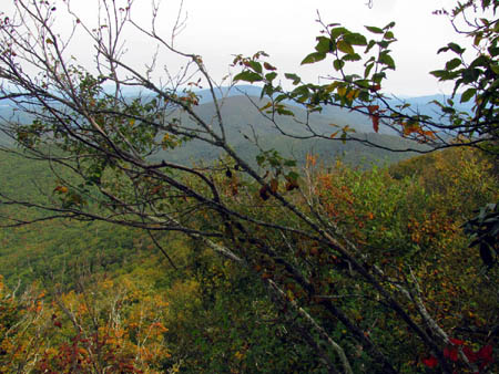 View from little bald