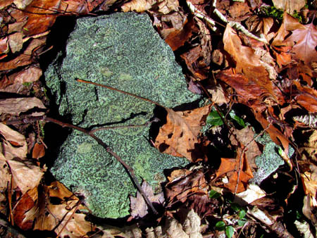 rock