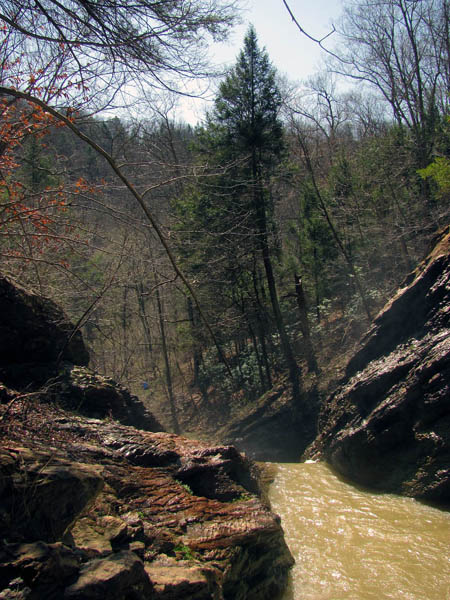 falls