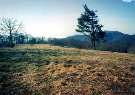 View from Grasslands in early 90`s