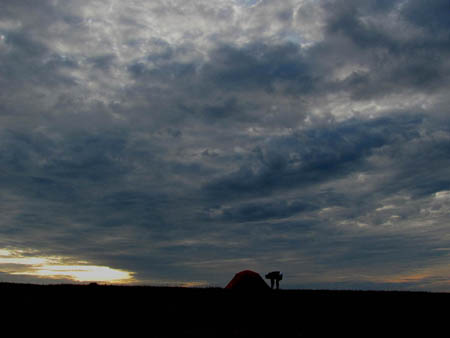 Tent at sunset on Max Patch