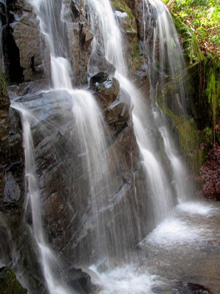 Upper part of Middle Simmons Branch Falls