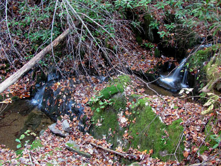Cascades along North Fork of Sill Branch