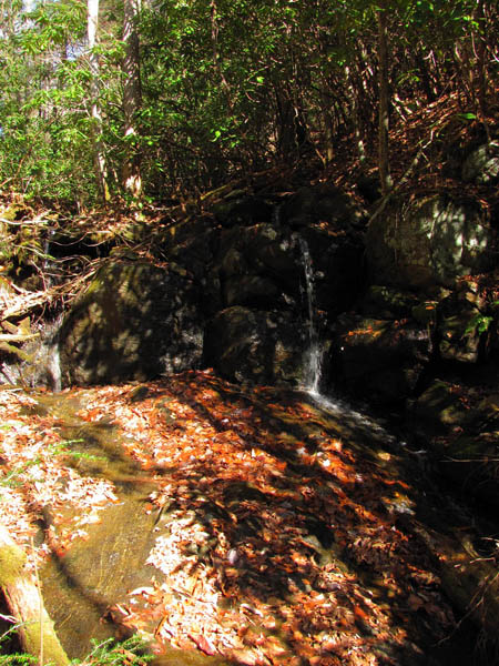 Lower Long Branch Falls (#2) 