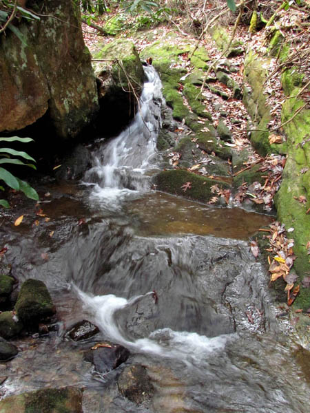 Second set of cascades found above upper falls