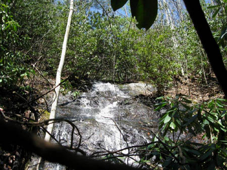 Upper Long Branch Falls