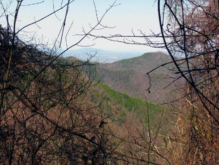 View of Sampson Mtn.