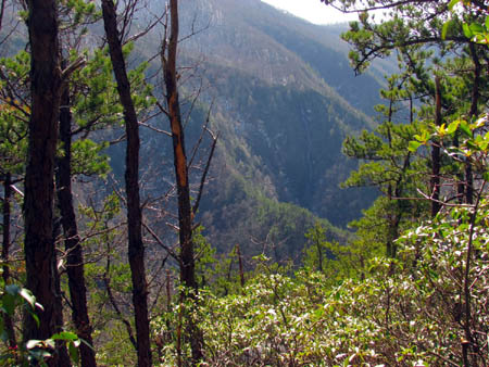 View of Buckeye Falls from top of Chigger Ridge
