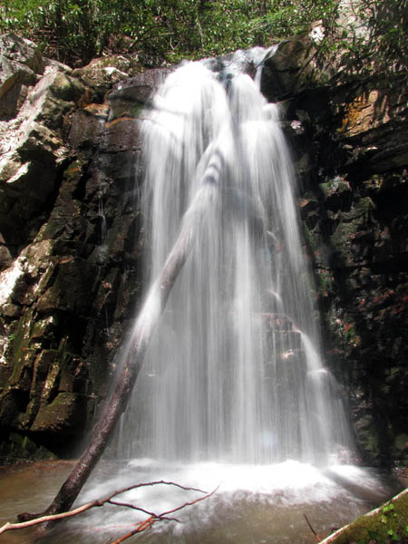 Lower part of Gentry Falls