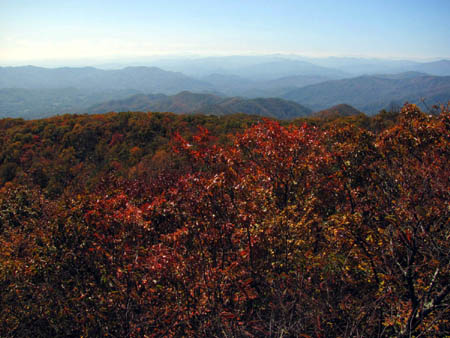 Tower View of North Carolina