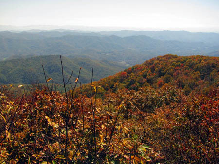 Tower view of North Carolina